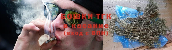 молекула духа Арсеньев
