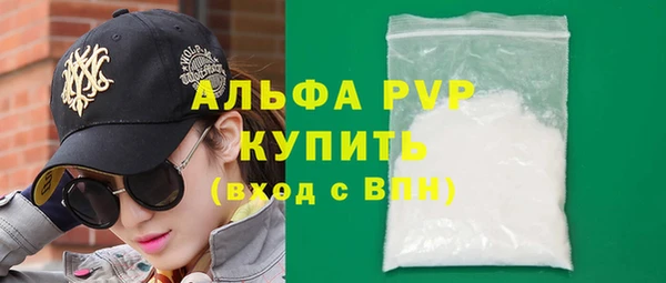 молекула духа Арсеньев