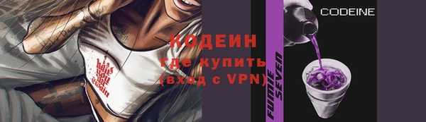 молекула духа Арсеньев
