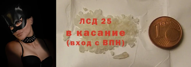 молекула духа Арсеньев
